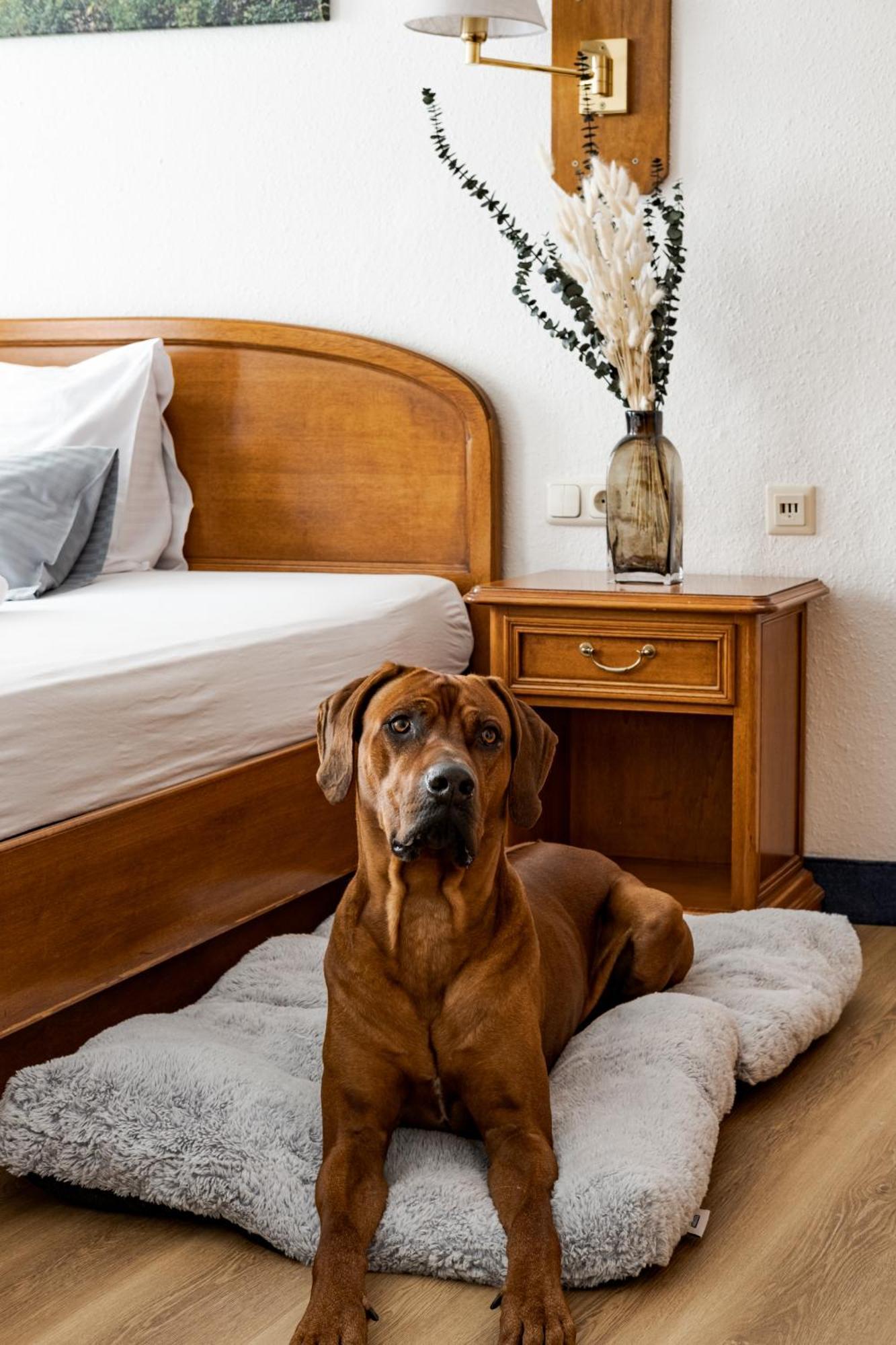 Hotel Goldener Hirsch เคาฟ์บอยเริน ภายนอก รูปภาพ